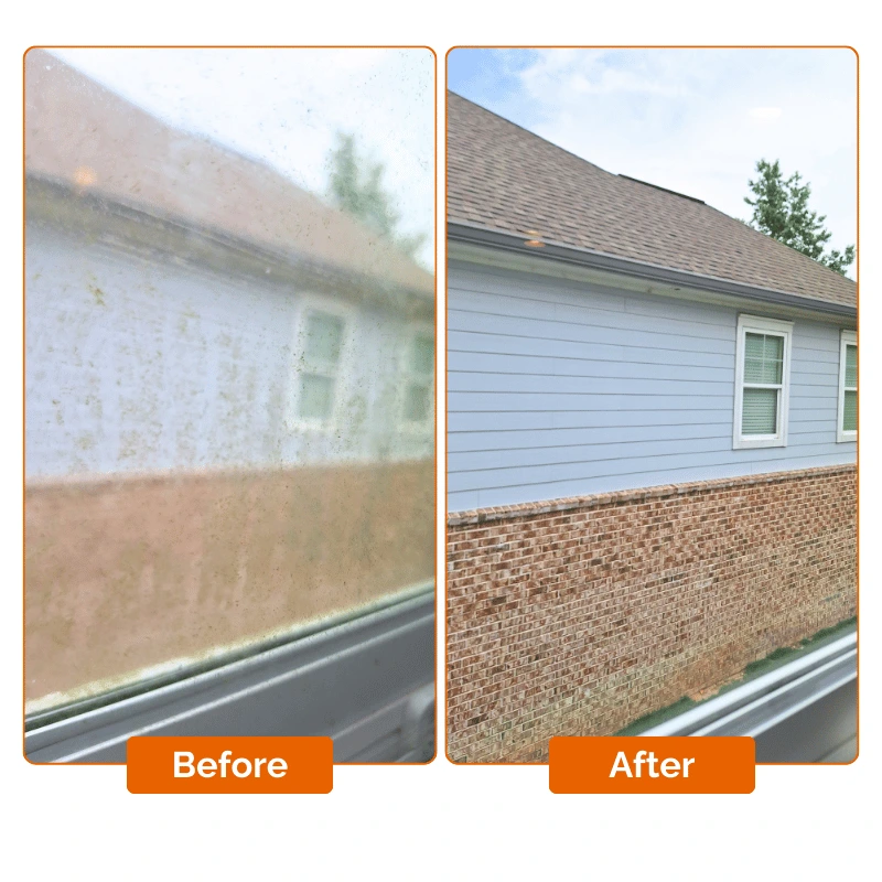 Deep cleaning service – Windows mold scrub