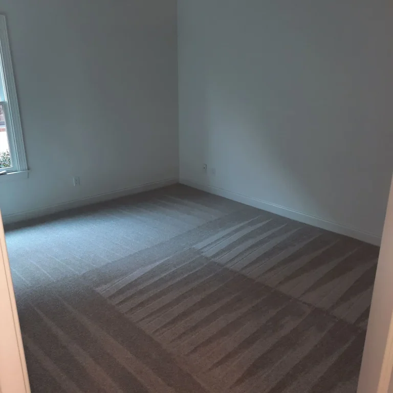 move in and move out cleaning